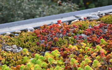 the cost of Pendas Fields green roof installation